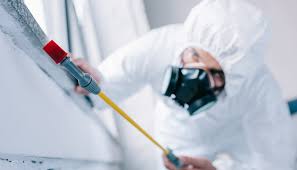 Best Pest Control for Hotels  in Willowick, OH